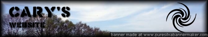 Homepage banner